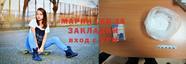 индика Кулебаки
