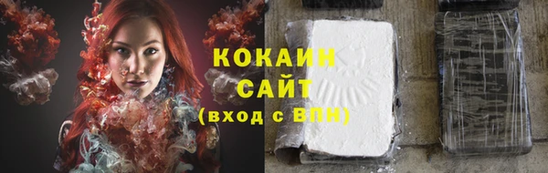 индика Кулебаки