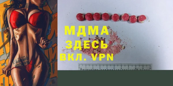 индика Кулебаки