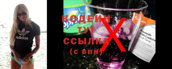 индика Кулебаки