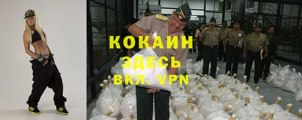 сатива Чита