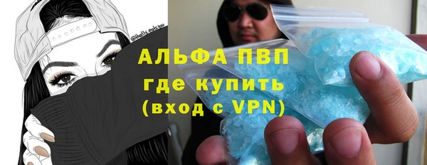 индика Кулебаки