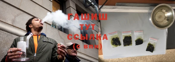 индика Кулебаки
