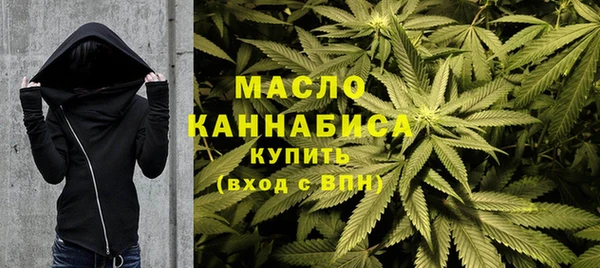 индика Кулебаки