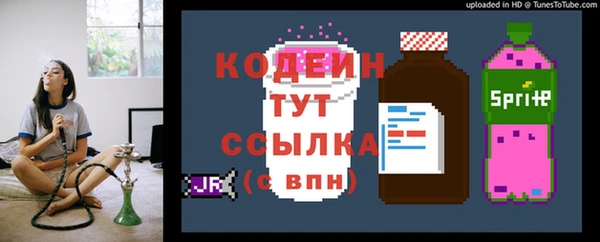 индика Кулебаки