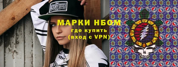индика Кулебаки