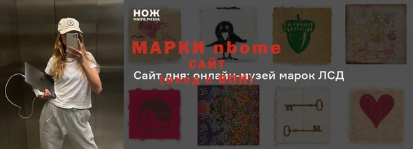 индика Кулебаки