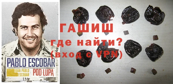 индика Кулебаки
