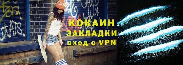 индика Кулебаки