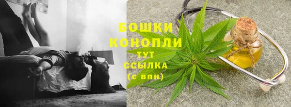 крисы Нижний Тагил