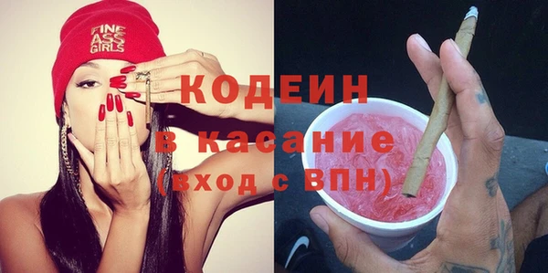 индика Кулебаки
