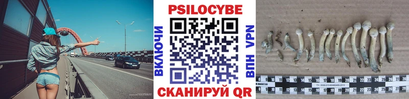 МЕГА ссылки darknet формула Галлюциногенные грибы мухоморы Рошаль